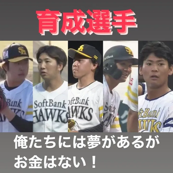 プロ野球の育成選手制度については、その是非が常に議論されてい...