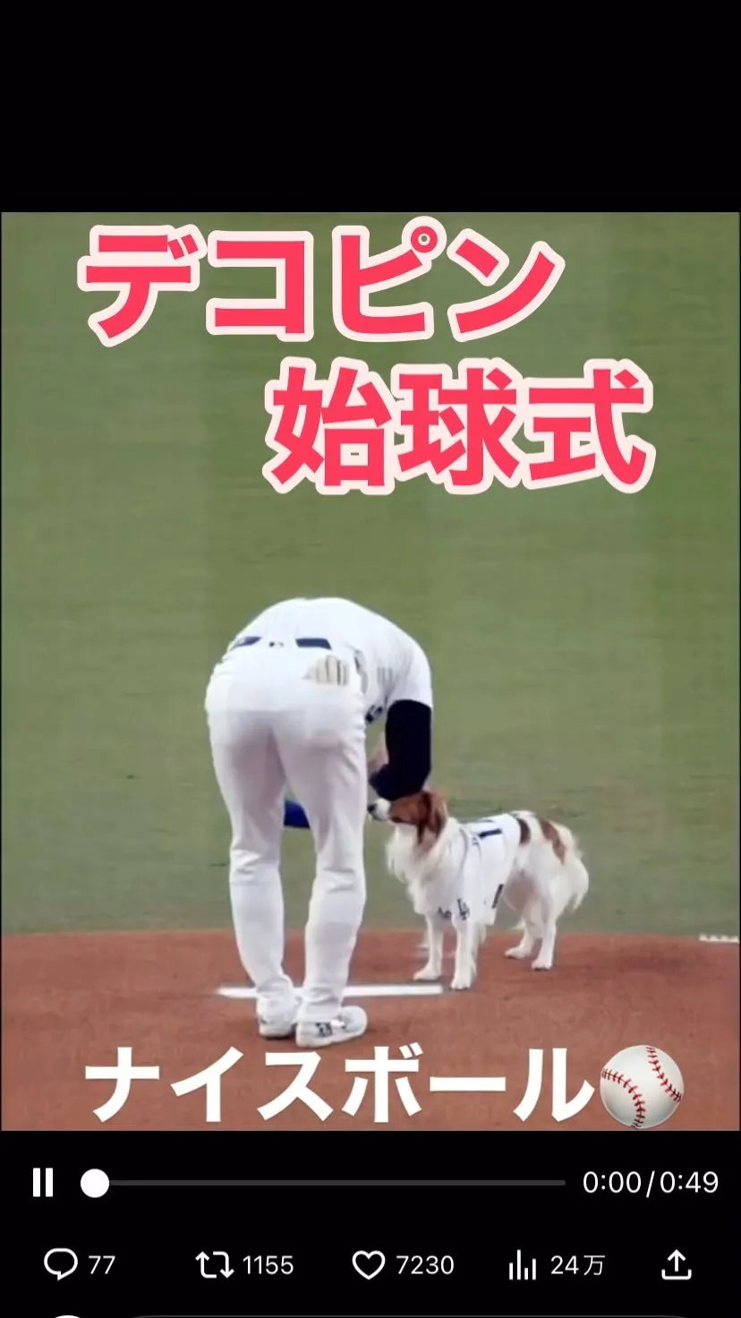 ドジャース・大谷翔平選手の愛犬『デコピン』