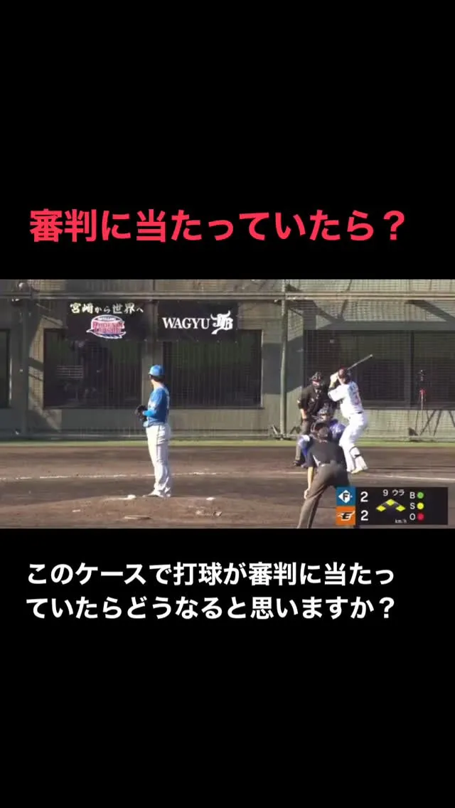 【審判は石コロと一緒？】